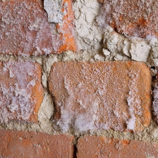 salpêtre traitement humidité humisolutions