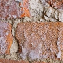 Salpêtre, également appelé sels hygroscopiques