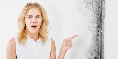 Traitement contre l'humidité